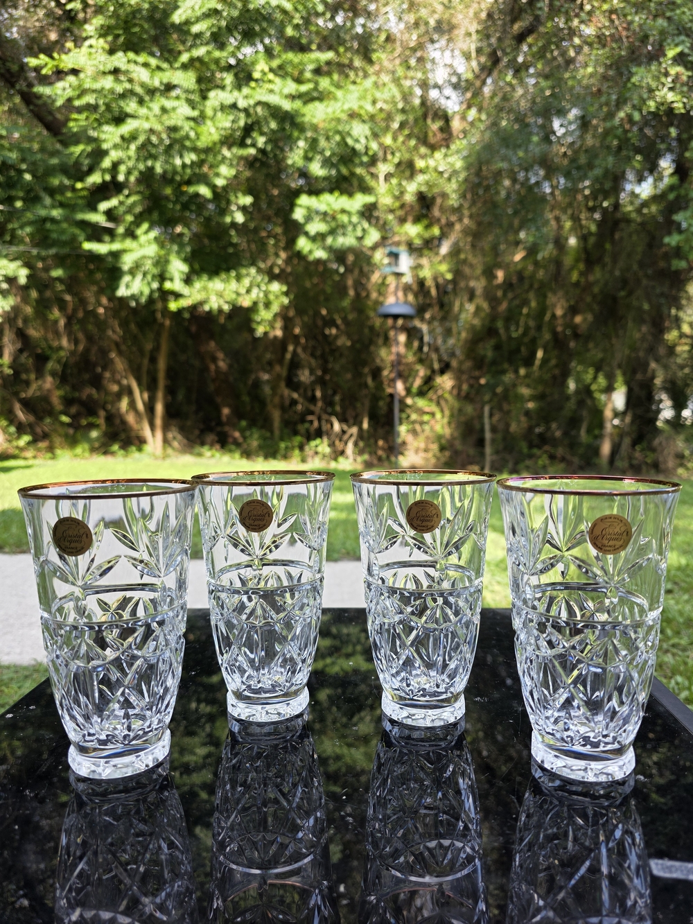 Cristal d’Arques Durand Joanna Gold Rim Crystal Highball Tumbler Glas– Set of 4